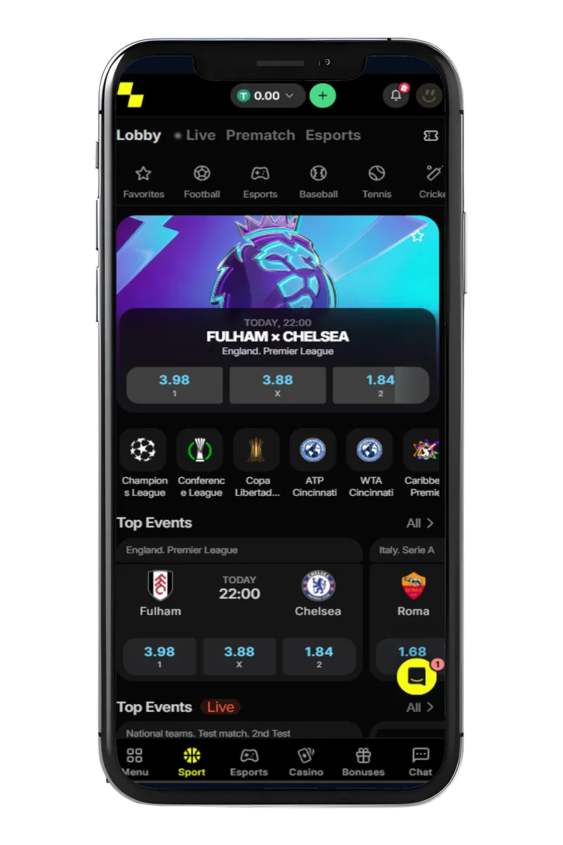 Screenshot of the mobile app interface